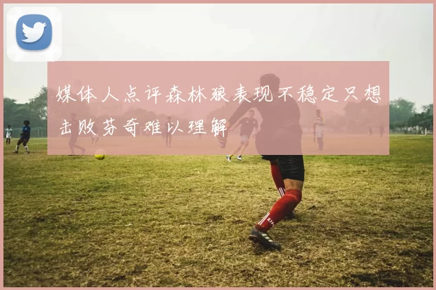 媒体人点评森林狼表现不稳定只想击败芬奇难以理解